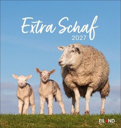 Cover Extra Schaf Postkartenkalender 2027