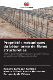 Propriétés mécaniques du béton armé de fibres structurelles