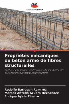 Propriétés mécaniques du béton armé de fibres structurelles - Barragan Ramirez, Rodolfo;Azuara Hernandez, Marcos Alfredo;Ayala Piñeiro, Enrique