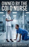 Owned By The Cold Nurse (eBook, ePUB)