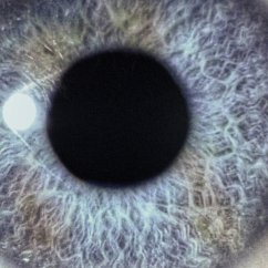 Cover Moontower (Re-Issue,Transp. Light Blue Lp)