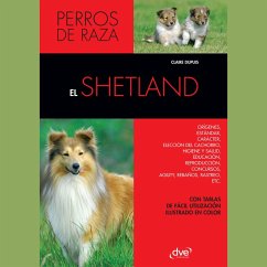Cover El Shetland (MP3-Download)