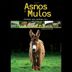 Asnos y mulos (MP3-Download)