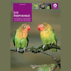 Los inseparables (MP3-Download) - Ravazzi, Gianni
