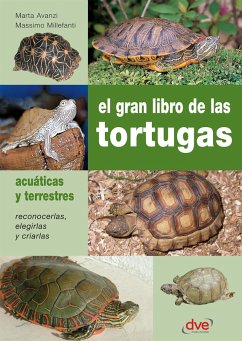 El gran libro de las tortugas (eBook, ePUB) - Avanzi, Marta; Millefanti, Massimo