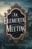 An Elemental Meeting (The King's Weaver, #3) (eBook, ePUB)