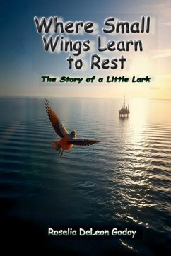 Cover Where Small Wings Learn to Rest
