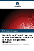 Natürliche Konvektion an einem belüfteten Gehäuse mit zwei diagonalen Blöcken