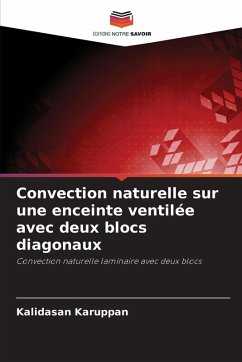 Cover Convection naturelle sur une enceinte ventilée avec deux blocs diagonaux