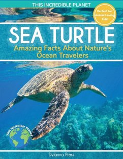 Cover Sea Turtle