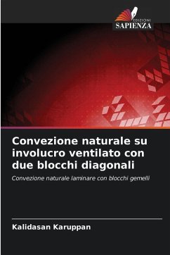 Cover Convezione naturale su involucro ventilato con due blocchi diagonali
