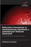 Naturalna konwekcja w wentylowanej obudowie z podwójnymi blokami uko¿nymi