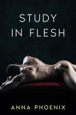 A Study in Flesh (Strangers, #2) (eBook, ePUB)