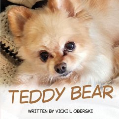Cover Teddy Bear