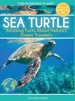Cover Sea Turtle