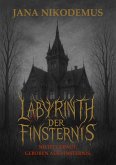 Labyrinth der Finsternis (eBook, ePUB)