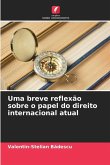 Uma breve reflexão sobre o papel do direito internacional atual