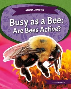 Busy as a Bee: Are Bees Active? - Ventura, Marne