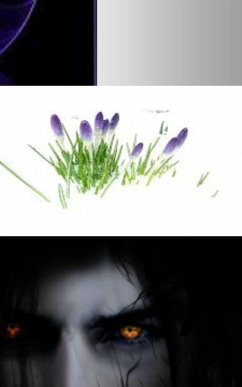 Cover A Collection of Lives