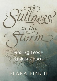 Cover Stillness in the Storm (eBook, ePUB)