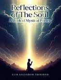 Reflections of the Soul (eBook, ePUB)
