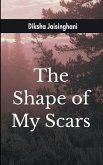 The shape of my Scar beneath the surface of survival