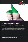Il ruolo delle OSC nel consolidamento democratico