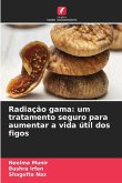 Radiação gama: um tratamento seguro para aumentar a vida útil dos figos