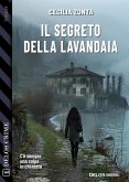 Il segreto della lavandaia (eBook, ePUB)