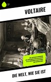Die Welt, wie sie ist (eBook, ePUB)