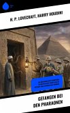 Gefangen bei den Pharaonen (eBook, ePUB)