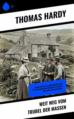 Weit weg vom Trubel der Massen (eBook, ePUB) - Hardy, Thomas