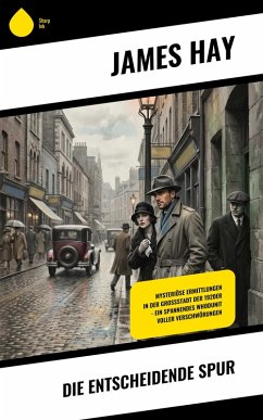 Die entscheidende Spur (eBook, ePUB) - Hay, James