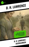 D. H. Lawrence: Erzählungen (eBook, ePUB)