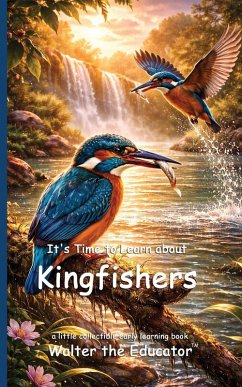 Cover It's Time to Learn about Kingfishers