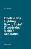 Electric Gas Lighting (eBook, ePUB)