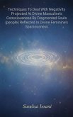 Techniques To Deal With Negativity Projected At Divine Masculine's Consciousness By Fragmented Souls (people) Reflected In Divine Feminine's Spaciousness (eBook, ePUB)