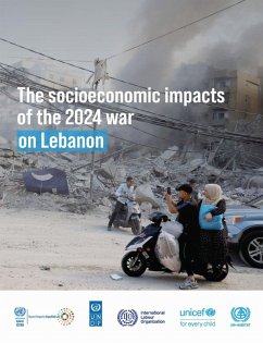 Cover The Socioeconomic Impacts of the 2024 War on Lebanon