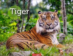 Cover Tiger Kalender 2027