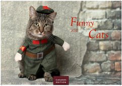 Cover Funny Cats Kalender 2027 - Wandkalender   Fotokalender Tierkalender 24x35cm - Witziger Katzenkalender