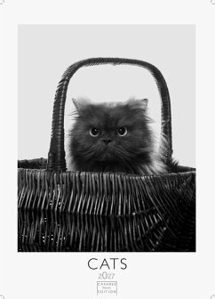 Cover Cats schwarz-weiss Kalender 2027 - Wandkalender   Fotokalender Tierkalender Grosses Format 59x42cm. - Katzenkalender   Perfekt für Katzenliebhaber und Tierkalenderfans