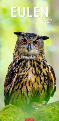 Cover Eulen Kalender 2027