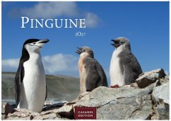 Cover Pinguine Kalender 2027 - Wandkalender   Fotokalender Tierkalender 24x35cm   . mit niedlichen Pinguin-Motiven im antarktischen Lebensraum.