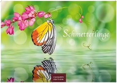 Cover Schmetterlinge Kalender 2027 - Wandkalender   Fotokalender Tierkalender 35x50cm Grosses Format - Mit wunderschönen, detailreichen Bildern von Schmetterlingen.