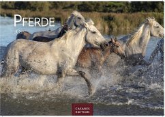 Cover Pferde Kalender 2027 - Wandkalender   Fotokalender Tierkalender 35x50cm mit 12 wunderschönen Fotos dieser edlen Tiere