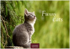 Cover Funny Cats Kalender 2027 - Wandkalender   Fotokalender Tierkalender 35x50cm - Witziger Katzenkalender