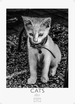 Cover Cats schwarz-weiss Kalender 2027 - Wandkalender   Fotokalender Tierkalender schwarz-weiss 29x21cm - Katzenkalender   Perfekt für Katzenliebhaber und Tierkalenderfans