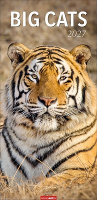 Cover Big Cats Kalender 2027