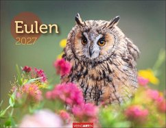 Cover Eulen Kalender 2027