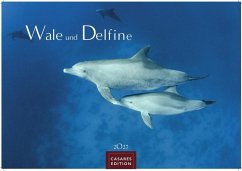 Cover Wale und Delfine Kalender 2027 - Wandkalender   Fotokalender Tierkalender 35x50cm Grosses Format - Hochwertige Fotografien von Walen und Delfinen, die jeden Monat begeistern.